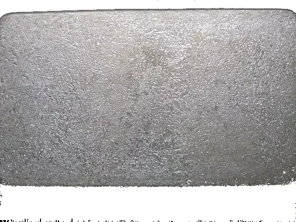 100g PAMP Suisse Silver Bar